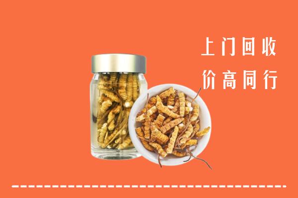 昆明市呈贡回收冬虫夏草